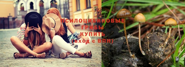 стафф Наволоки