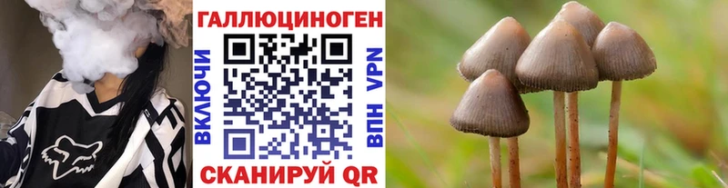 маркетплейс какой сайт  Иваново  Галлюциногенные грибы мухоморы  сколько стоит 